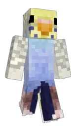 JamesW22's Minecraft skin wearing the Migrator cape