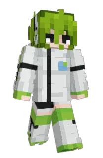 Front of midori_online's skin