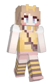 Front of 0HK4SAH1's skin