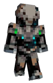 Skin preview