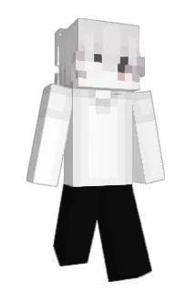 13q Minecraft avatar full body