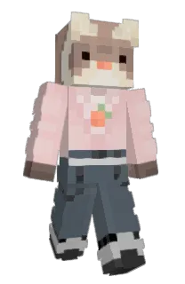 Front of Peachgoop's skin