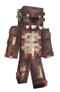Front of Taytoon's skin