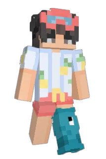 141a Minecraft avatar full body
