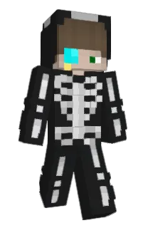 Front of Coushini's skin