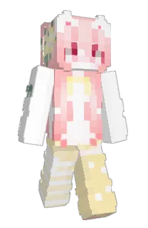 Front of Minecraft skin