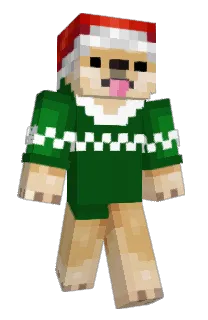 Front of Minecraft skin