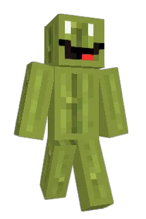144P20HZ Minecraft avatar full body