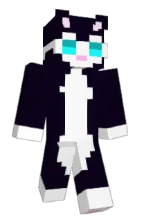 P0LEND's Minecraft skin