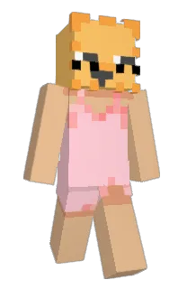 Front of MispeIt's skin