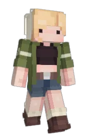 Skin preview