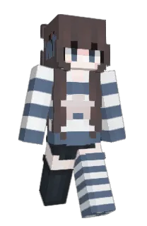 femel's Minecraft skin