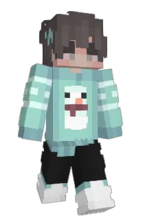 Front of Aeroaurora_'s skin