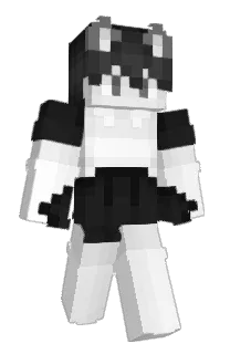 Front of lildonkis's skin