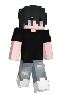 14_inseo Minecraft avatar full body