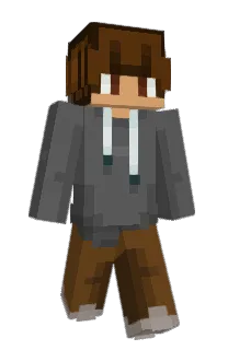 Front of Nethronix_'s skin