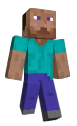 nwiko's Minecraft skin wearing the Common cape