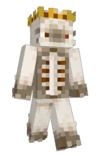 Front of patchy_bug's skin