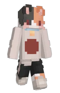 Front of Miniprism's skin