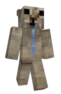 Front of Minecraft skin