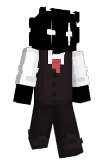 Front of NP08's skin