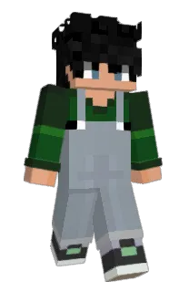 Front of Trinopy's skin