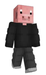 mine shaft and cod gray Minecraft skin — Slim model