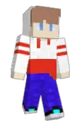 Michel2137