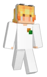 Minecraft skin — Classic model