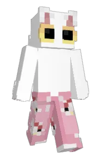 Front of Naimw's skin