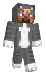 dove gray Minecraft skin — Classic model