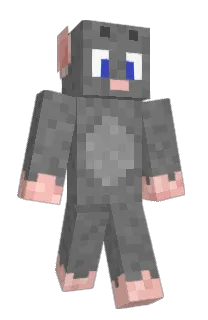 Front of DenErLovlig's skin