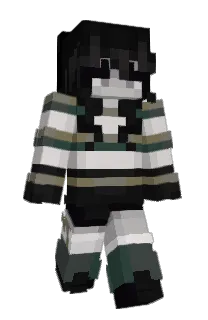 Front of Citrusish's skin