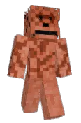 nathantheturtle