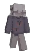 Asle_