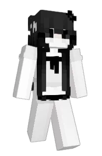 Front of qCookie's skin