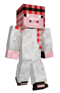 Punatauti's Minecraft skin