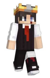 Front of HighRVLE's skin