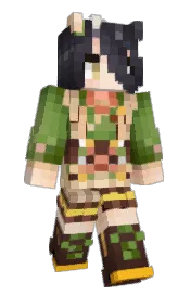 Skin preview
