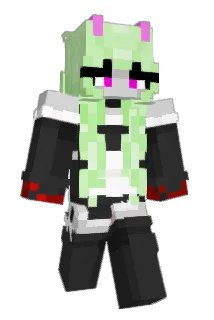 14rats Minecraft avatar full body