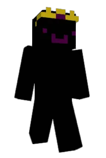 14x14 Minecraft avatar full body