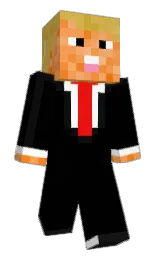 IceNaxi's Minecraft skin wearing the Vanilla cape