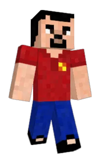 Front of PigKnight's skin