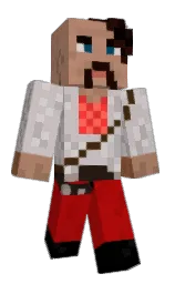 Back of Minecraft skin
