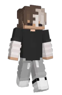 Front of Wafeleek88's skin