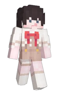 Front of dxwon's skin