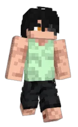 Classic Minecraft skin