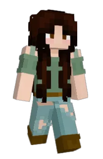 Front of SuperBAG's skin