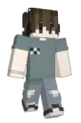 RayFR_