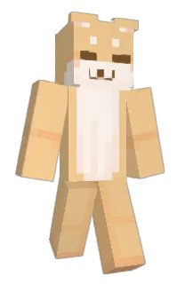 Front of 1zg's skin